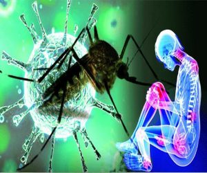 Chikungunya and Dengue Screening Package <span class='pkgNo'>Pkg-16</span>