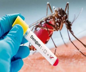 Special Discount Package for Dengue Test <span class='pkgNo'>Pkg-18</span>